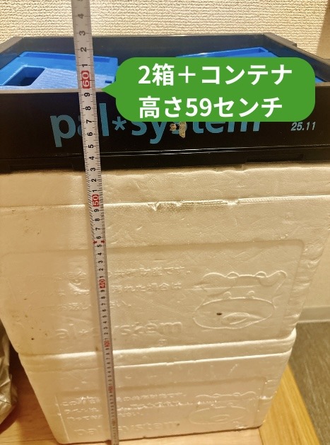 パルシステムの空き箱2箱とコンテナを重ねた高さは59センチ