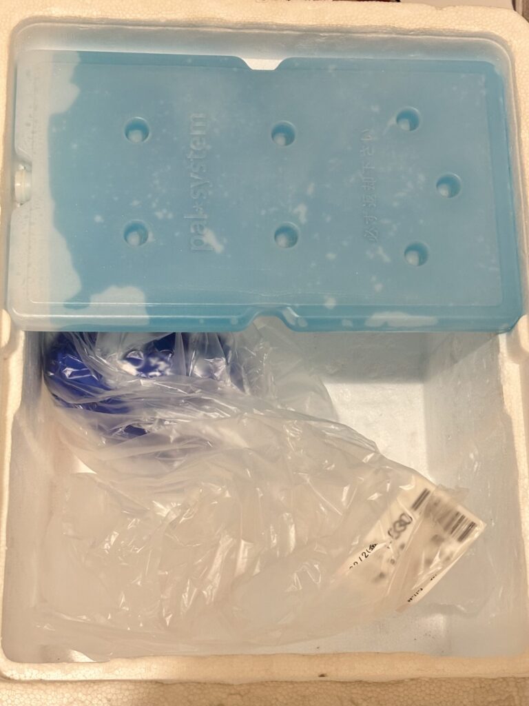パルシステム箱の中の保冷剤の様子