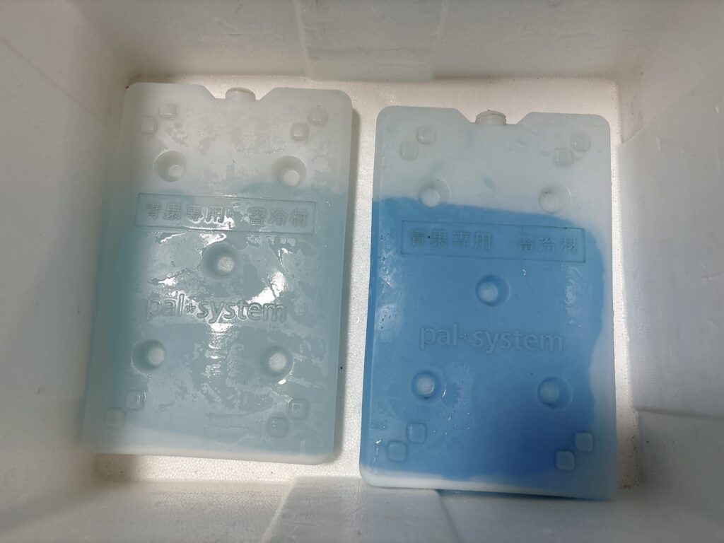 パルシステムの青果用発泡スチロール箱の底に敷かれた青果専用蓄冷材2枚
